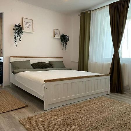 Carol Apartament'S تيميشورا المظهر الخارجي الصورة