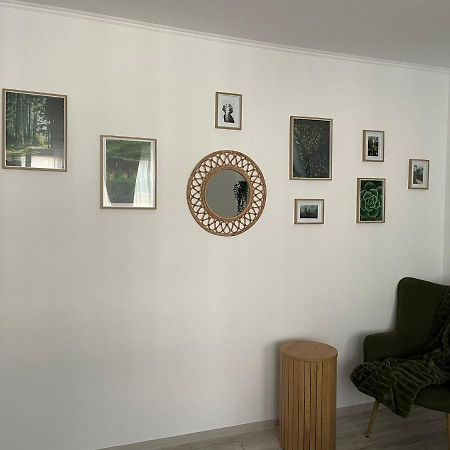 Carol Apartament'S تيميشورا المظهر الخارجي الصورة