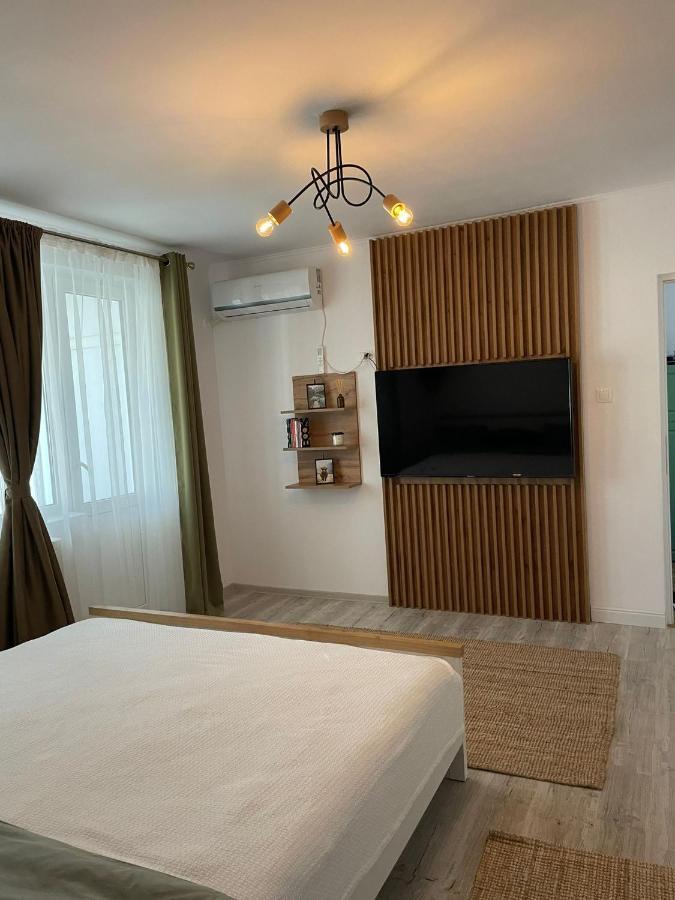 Carol Apartament'S تيميشورا المظهر الخارجي الصورة