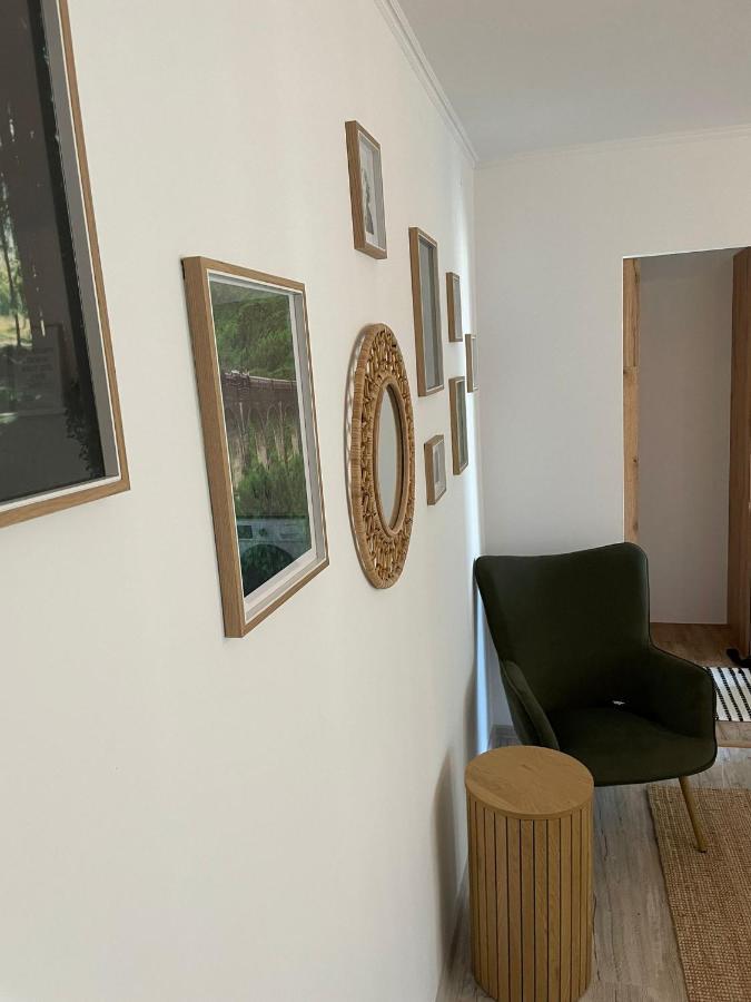 Carol Apartament'S تيميشورا المظهر الخارجي الصورة