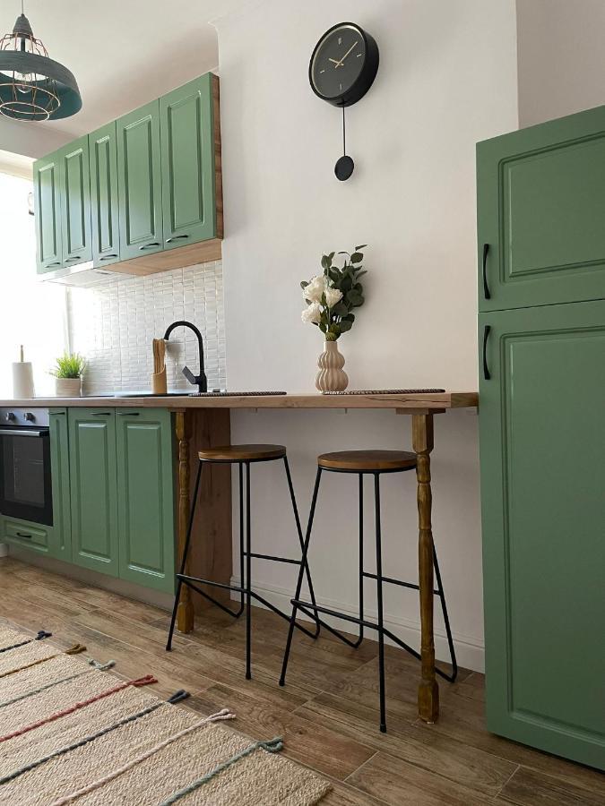 Carol Apartament'S تيميشورا المظهر الخارجي الصورة