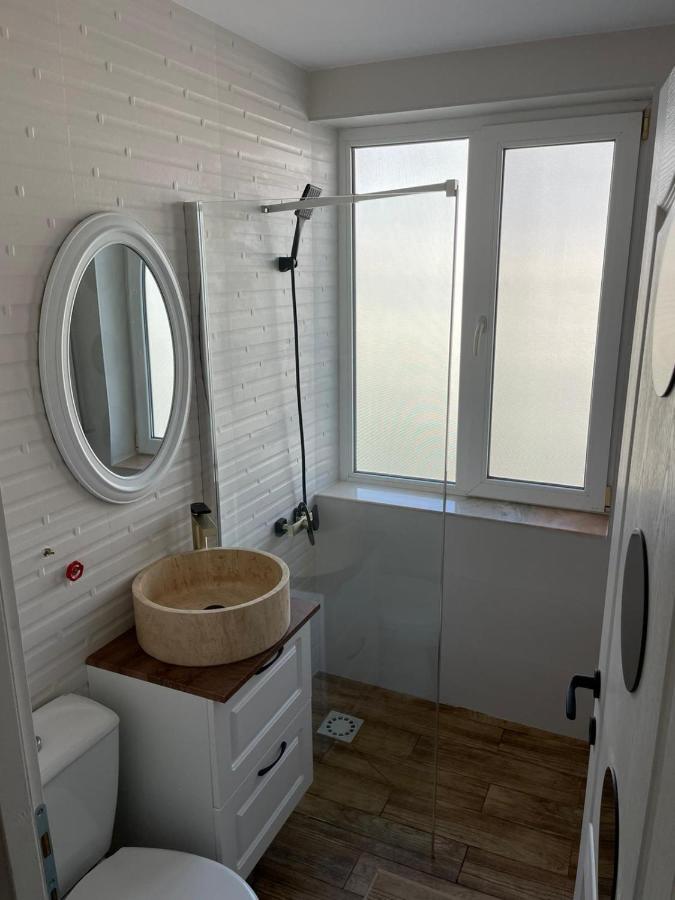 Carol Apartament'S تيميشورا المظهر الخارجي الصورة