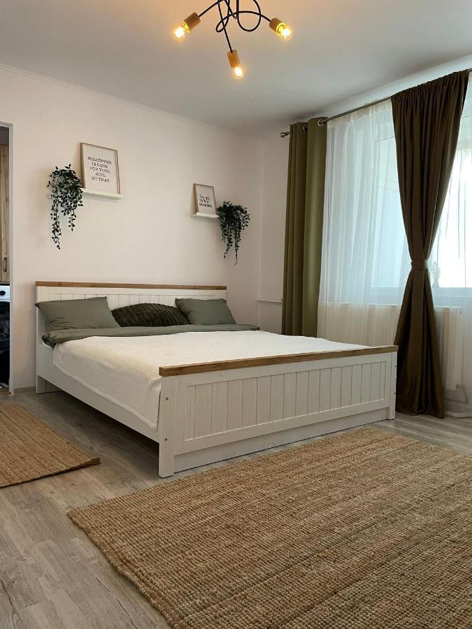 Carol Apartament'S تيميشورا المظهر الخارجي الصورة