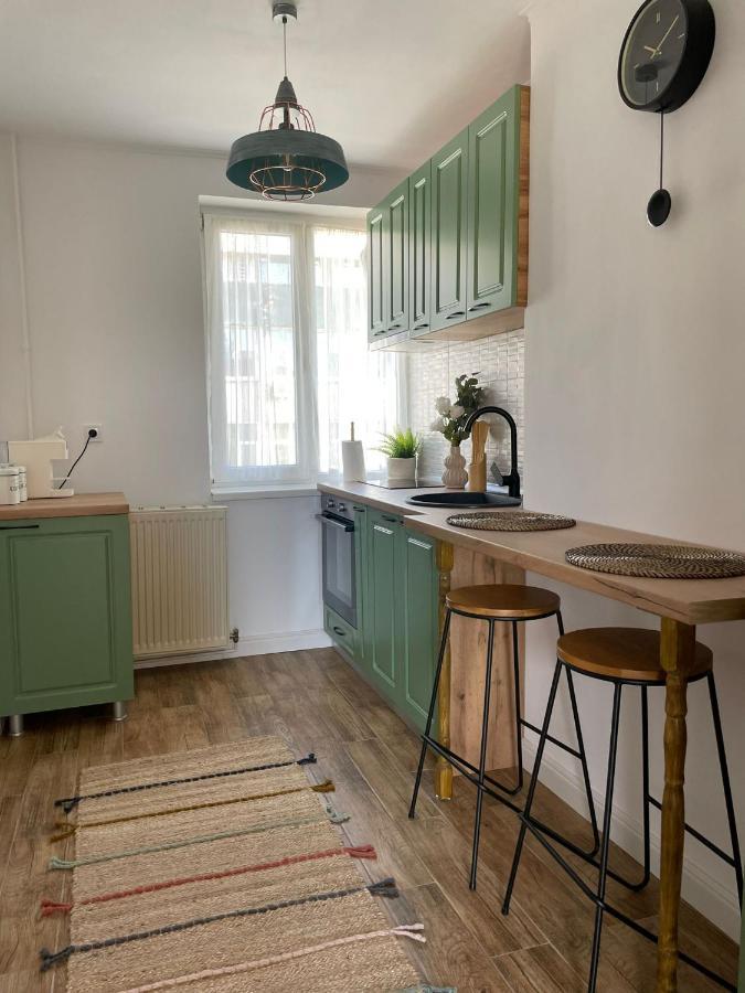 Carol Apartament'S تيميشورا المظهر الخارجي الصورة