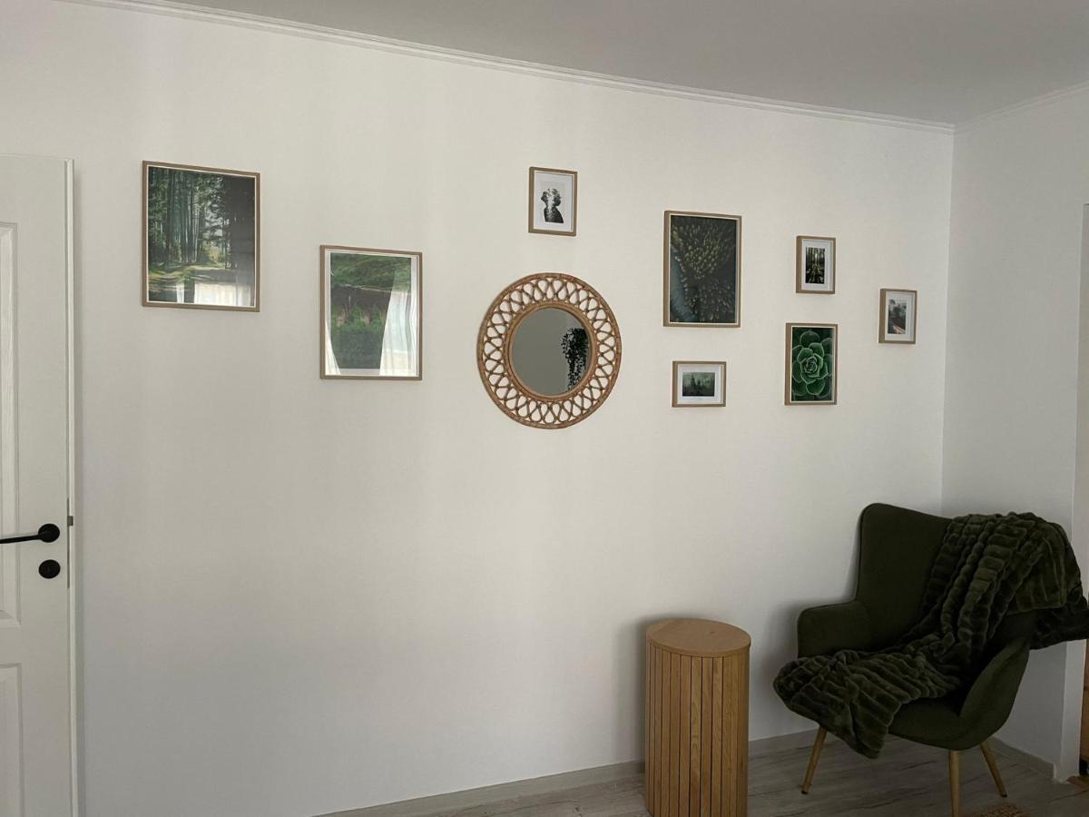 Carol Apartament'S تيميشورا المظهر الخارجي الصورة