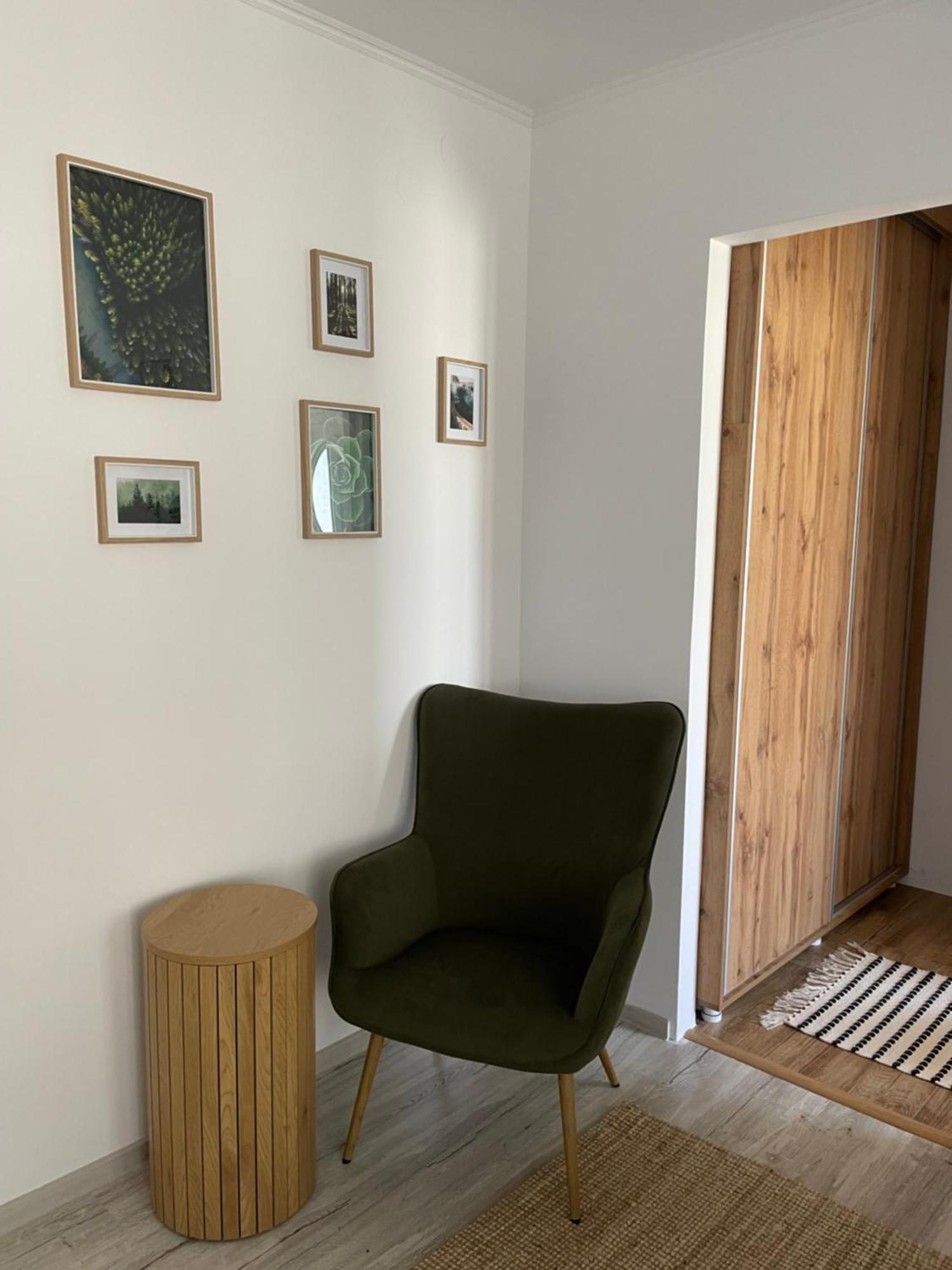 Carol Apartament'S تيميشورا المظهر الخارجي الصورة